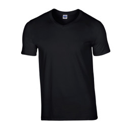 Softstyle® V-Neck T-shirt