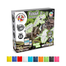 2 in 1 Fossil Excavation Kit IV. Jeu éducatif livré avec un sac cadeau en non-tissé (80 g/m²)